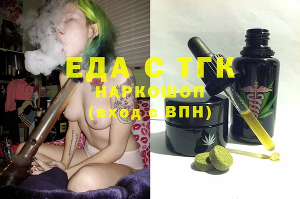 эйфоретик Няндома